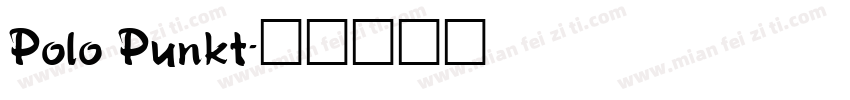 Polo Punkt字体转换